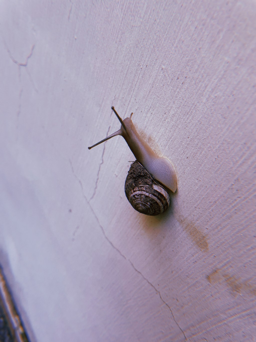 Che fine ha fatto il mio tempo&nbsp;libero?